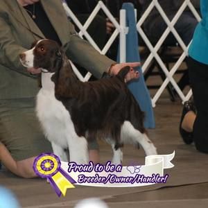 Meet your Posher, Mary